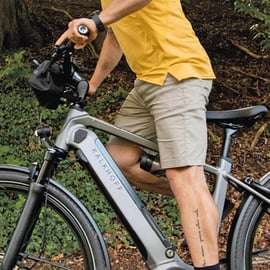 Lucca: Full-Day E-Bike Rental