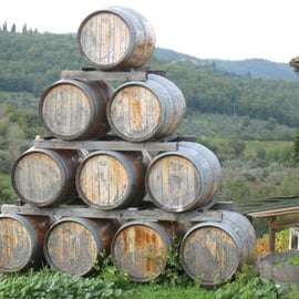 Vinprovning i Bolgheri med frukost och privat skåpbil