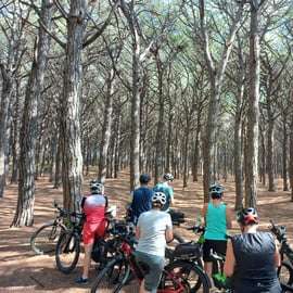 Livorno: Passeio Panorâmico de Bicicleta Elétrica a Pisa pelo Parque Natural