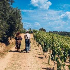 Visite guidée dans un domaine viticole familial en Toscane