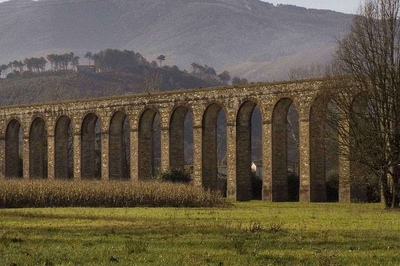 Samodzielna wycieczka rowerowa po Lukce: akwedukt i Monte Pisano