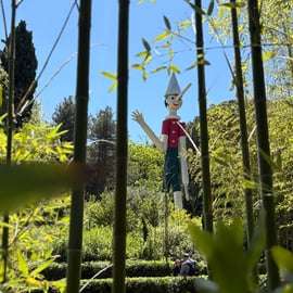 Biglietto Parco di Pinocchio a Collodi con Casa delle Farfalle
