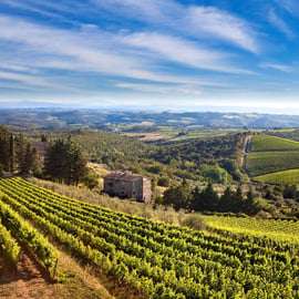 Chianti-Weinprobe ab Livorno mit Weingutbesuch in Kleingruppe