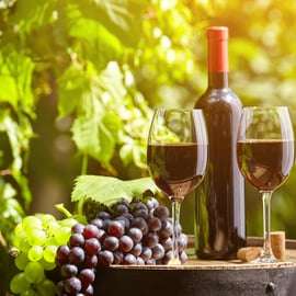Chianti-Weinprobe ab Livorno mit Weingutbesuch in Kleingruppe