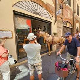 Passeio de carruagem em Lucca pelo centro e as muralhas