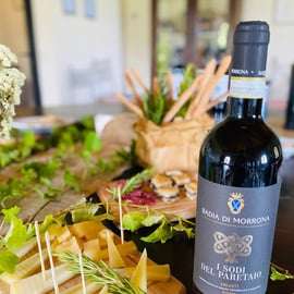 Visite de cave et dégustation de vins toscans à Terricciola