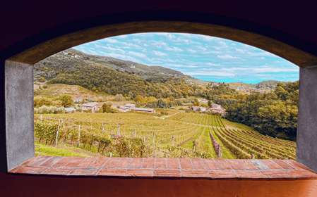 Lucca: Visita guiada a una bodega con cata de vinos