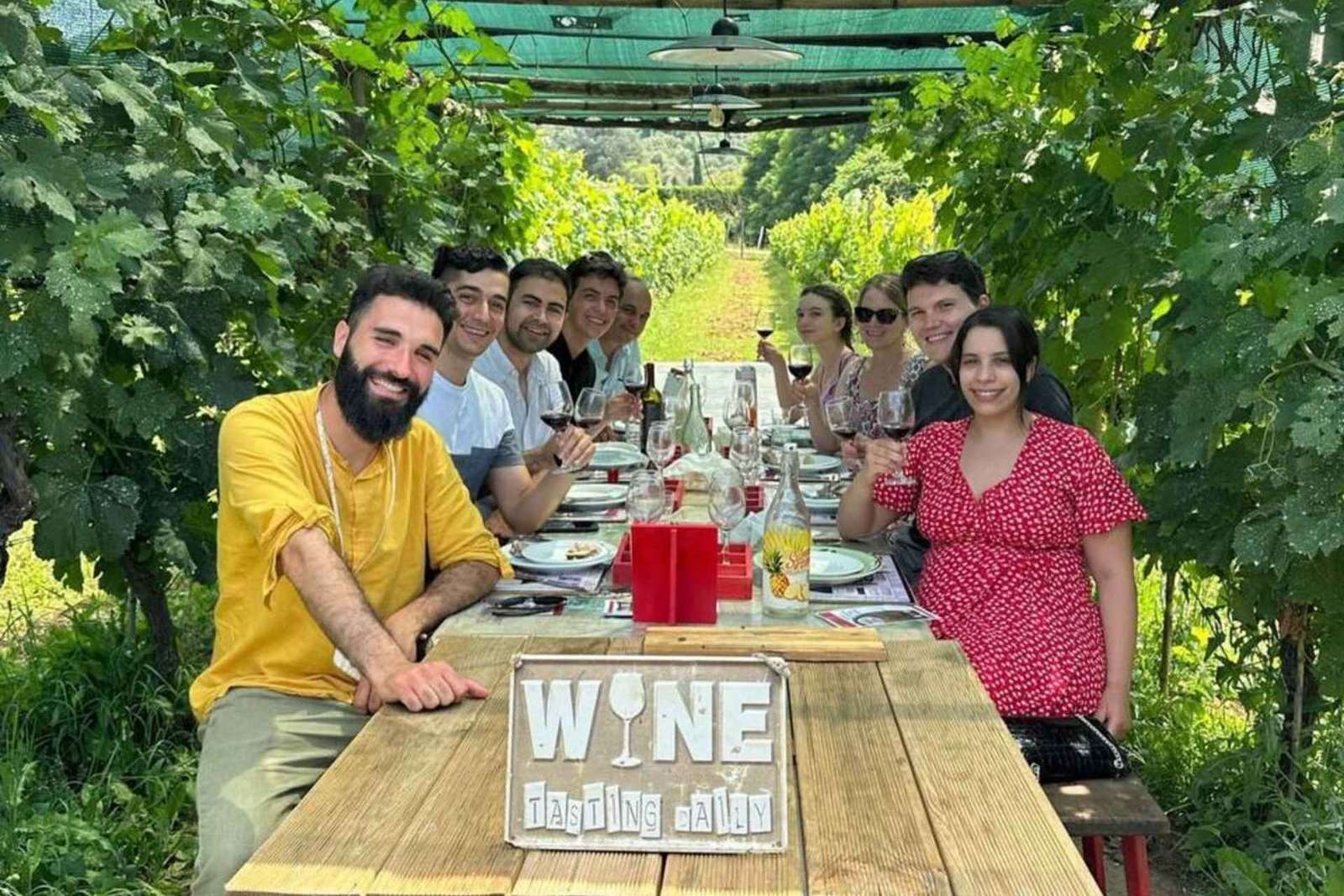 Tasting in a Vineyard with transfer from Lucca
