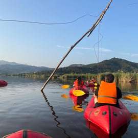 Lago di Massaciuccoli: passeio de caiaque com aperitivo