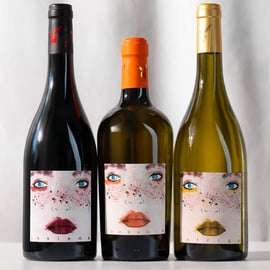 San Miniato: experiência de degustação de vinho e azeite orgânicos