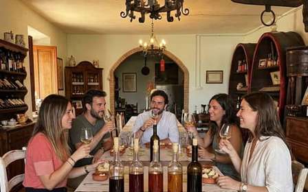 Weinprobe auf einem Weingut bei Pisa: Weinberg und Keller