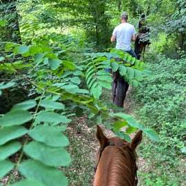 Horseback Riding in the Hills of Pisa with Aperitif