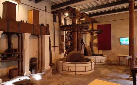 Olivenöl-Verkostung in Buti mit Besuch der Ölmühle