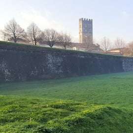 Guidad rundtur i Lucca: stadsmuren, Guinigi och torgen