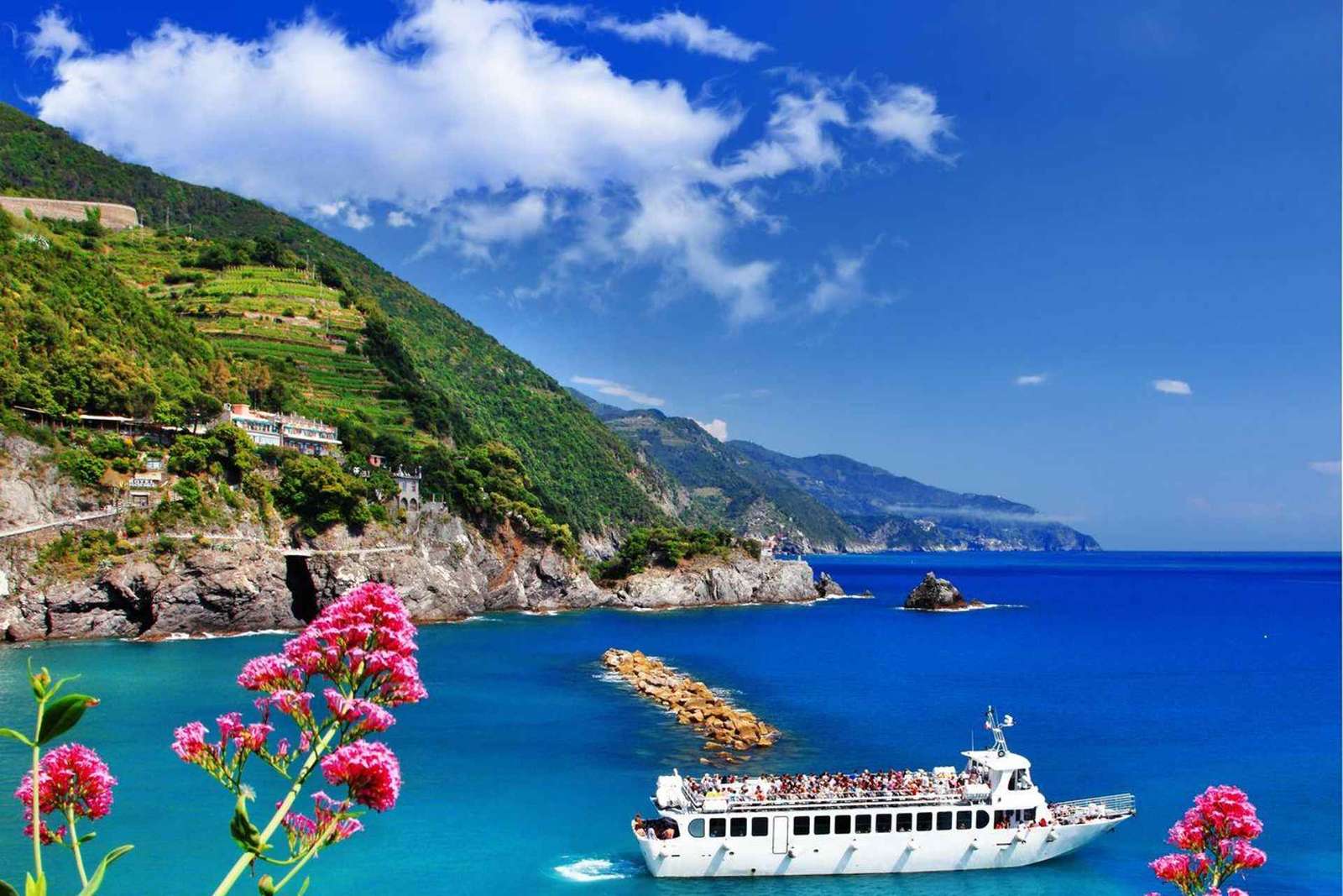 Excursion aux Cinque Terre depuis Livourne, journée privée