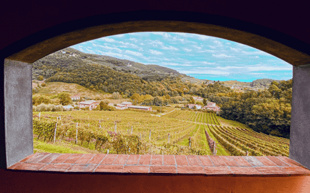 Weinverkostung bei Lucca auf dem Weingut Tenuta Adamo