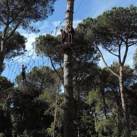 Pineto Adventure Park a Marina di Pisa, percorsi sugli alberi
