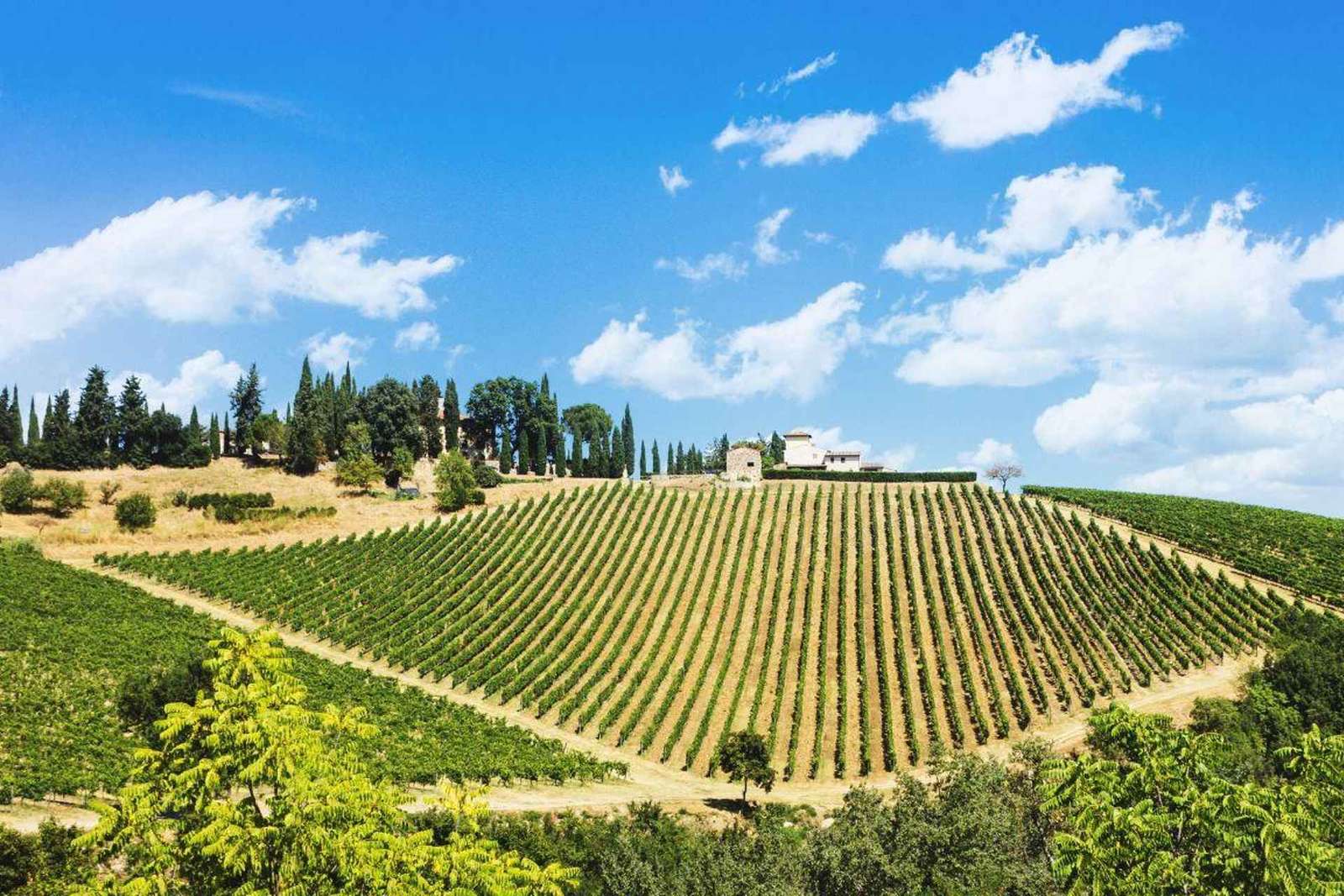 Peccioli Valdera 2 Hour E-Bike Guided Tour + Wine Tasting