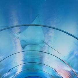 Billet d'entrée pour l'aquarium de Livourne, 33 bassins