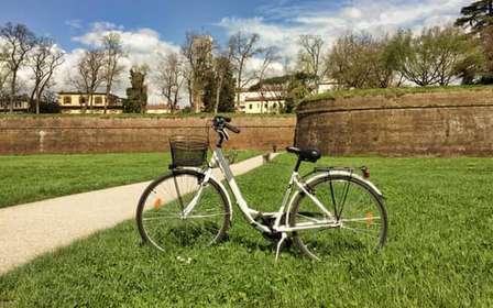 Lucca: Ein-Tages-Miete eines Stadtrades