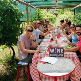 Lucca: Guided E-Bike and Wine Tour