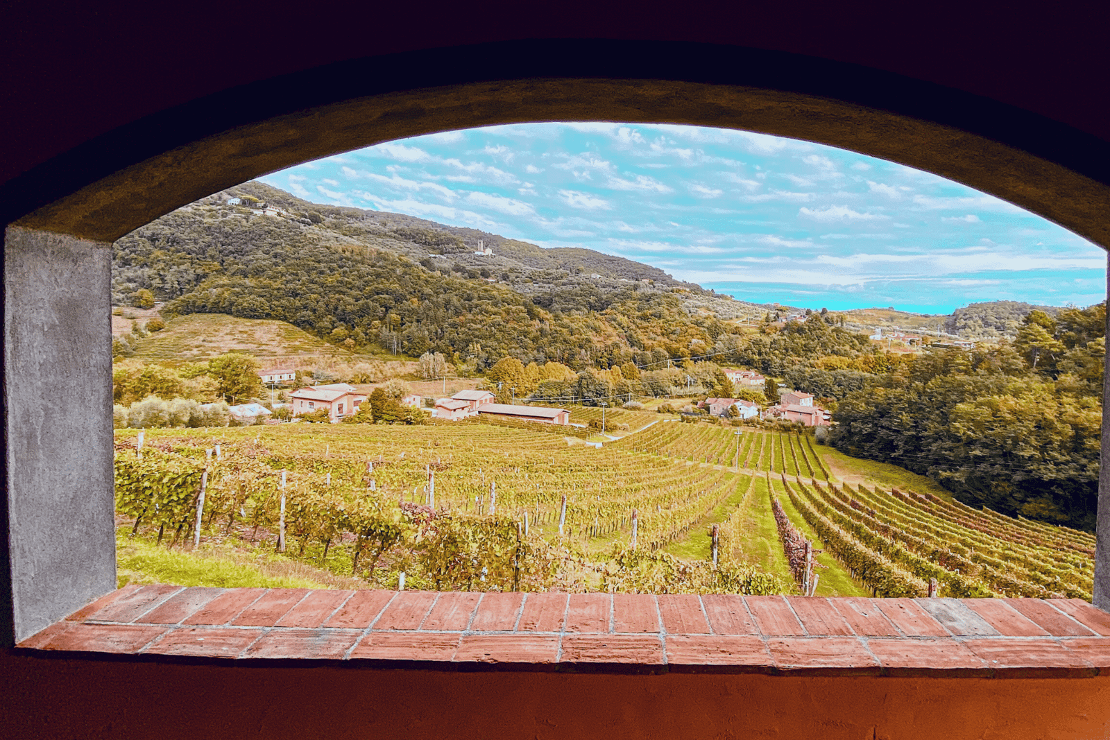 Lucca Winery Tour and Tasting at Tenuta Adamo