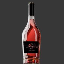 Peccioli: Wine tasting experience