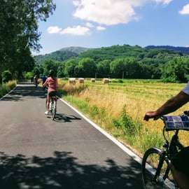 Lucca: Self-Guided Bike Tour to the Wine Roads