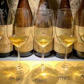 Degustação de vinhos com petiscos locais em Pisa