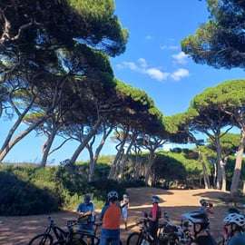 Livorno: Passeio Panorâmico de Bicicleta Elétrica a Pisa pelo Parque Natural